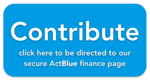 ActBlue contribution button